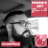 Fengir's Key 04 - datafruits.fm
