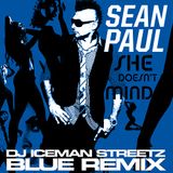 Sean Paul - She Doesn't Mind (DJ Iceman Streetz "Blue" Remix) - 128bpm