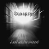 Sunapsys live - Last winter mood