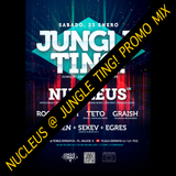 NUCLEUS @ JUNGLE TING! PROMO MIX!