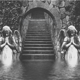 Arcane Dream