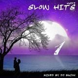 Slow Hits Megamix 1