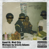 Good Dj, Mad City by Grzly Adams (Beatevolution/Berlin)