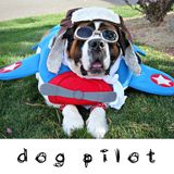 DOG PILOT - Bermuda Triangle (MP3 Way)