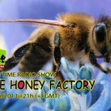 The Honey Factory-THF@Club Time Katra FM Pacho B & Max 2013 Juni