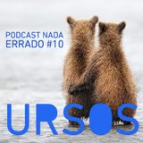Podcast Nada Errado #10 - Ursos