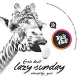 Geri - TESIS BULI 08 (Lazy Sunday)