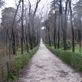 Otoño 2014