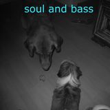 soul & bass mixtape