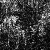 Extraneous Colere fifteen