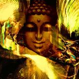 Karma Deep Vol 50