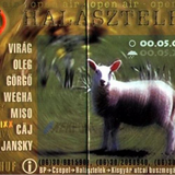 Halásztelek 2000