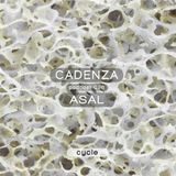 Cadenza Podcast | 096 - Asal (Cycle)