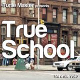 Turtle Master Minimix vol.5 - True School
