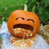 Proper Movement Halloween edition 30 minute switch off set - 10-28-15