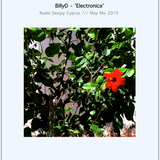 BillyD - 'Electronica' / Radio DeeJay Cyprus /// May Mix 2015