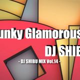 Funky Glamorous