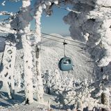 Winter Wonderland