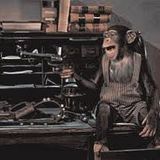 *More Dangeruos than a Monkey with a gun*