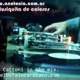 "21 años de Buena musica" Podcast 27-36 Mixed Fede cattoni.