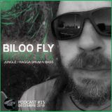 Artisto Prod - Podcast #15 / BILOO FLY - Décembre 2015