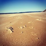 Balearic Sounds - Summer Sessions 2015