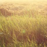 Fields vol. 01 by Christian Storm