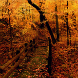 Steve Brian - Autumn Madness Mix (80 min)