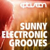 Sunny Electronic Grooves 05