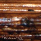 A Duck in a Tree 2014-10-25 | Authentic Past This Point