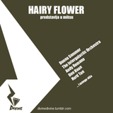 DJ Hairy Flower - Divine Mix One