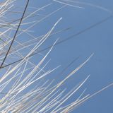 Icarus-21-04-2013