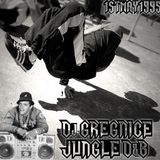 Dj GregNice - Jungle D&B 1st.May.1995