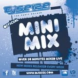 DJ SEIZE - Party Rockin Mini Mix - April 2012 Week 1