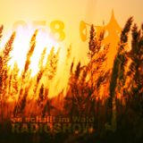 ESIW058 Radioshow Mixed by Cajuu