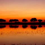 NDO-This is Chillout 004