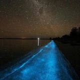 Blue Sprays, Blue Shots