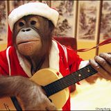MonkeyTimeRadioHour_19-Dec-2012