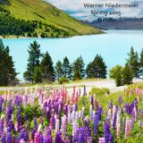 Werner Niedermeier_Spring 2015_DJ Mix