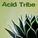 Acid Tribe 01.09.14