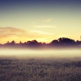 Folk Radio UK Mix - June 2013