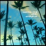 Electric Chill 2010