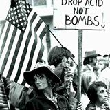 acidsektor - drop acid not bombs