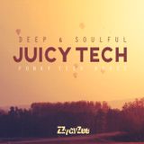 Deep Juicy Tech - Funky Soulful House Mix 2012