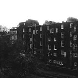 20 Songs for Autumn and the Fall Season