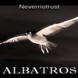 NeverNoTrust - Albatros (2011-07-12)