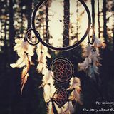 Psy is in my mind - The Story about the Solar Dreams