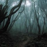 Dark Tribal Mix