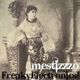 FreakyElectronics! - Mestizzzo (2014)