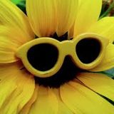 Frau von Welt - Sonnenbrillenfaktor